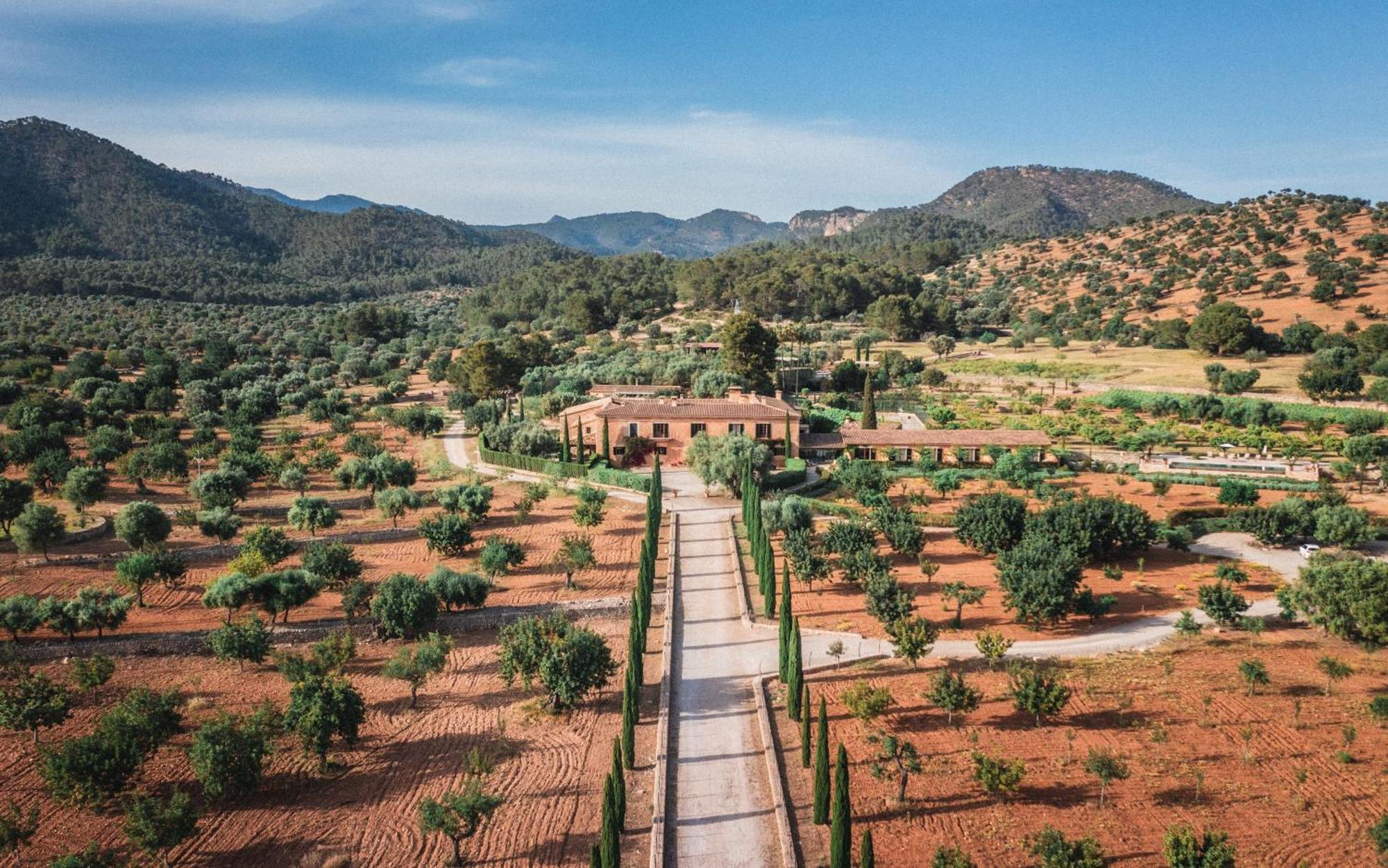 Finca Es Cabas Santa Maria del Cami  Ngoại thất bức ảnh