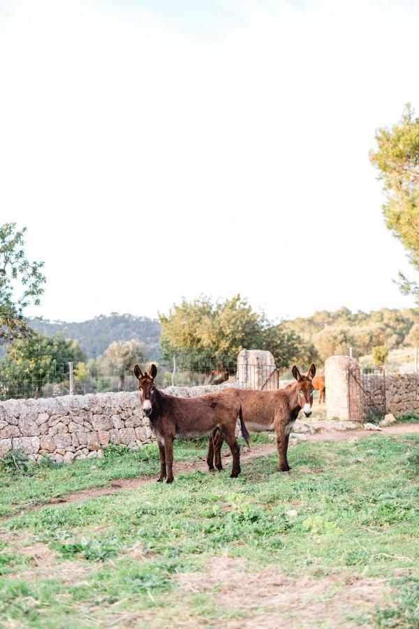 Finca Es Cabas Santa Maria del Cami  Ngoại thất bức ảnh