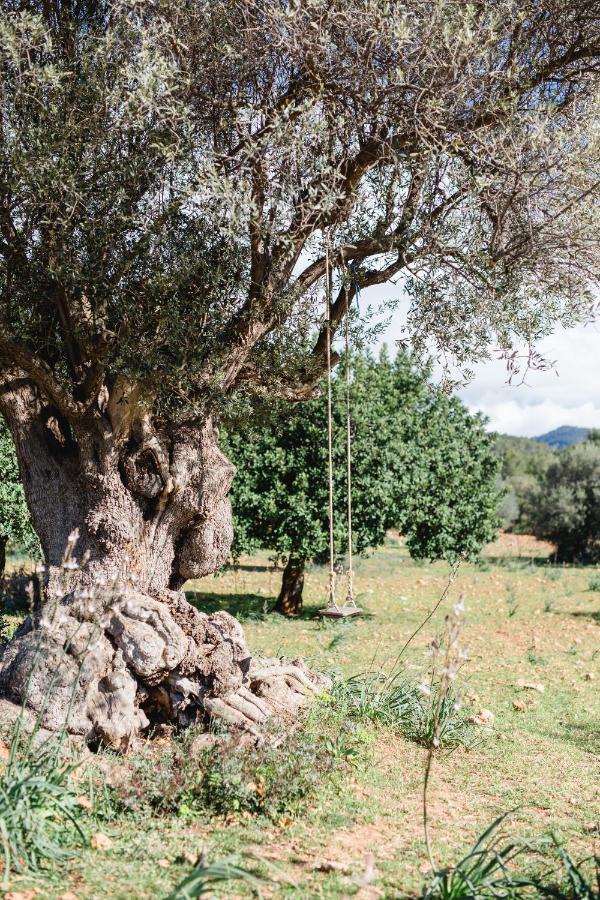 Finca Es Cabas Santa Maria del Cami  Ngoại thất bức ảnh